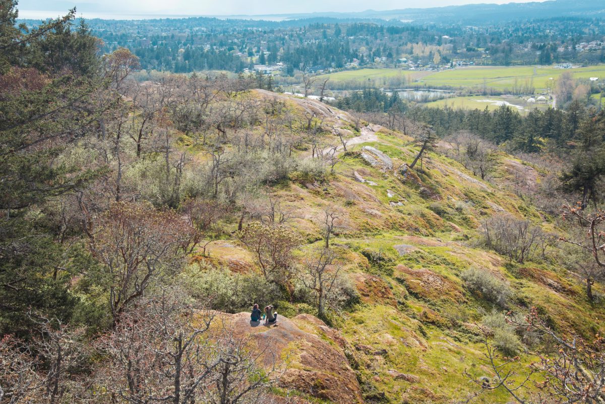 hikers sitting on a rock in a Garry oak ecosystem, looking over developed land