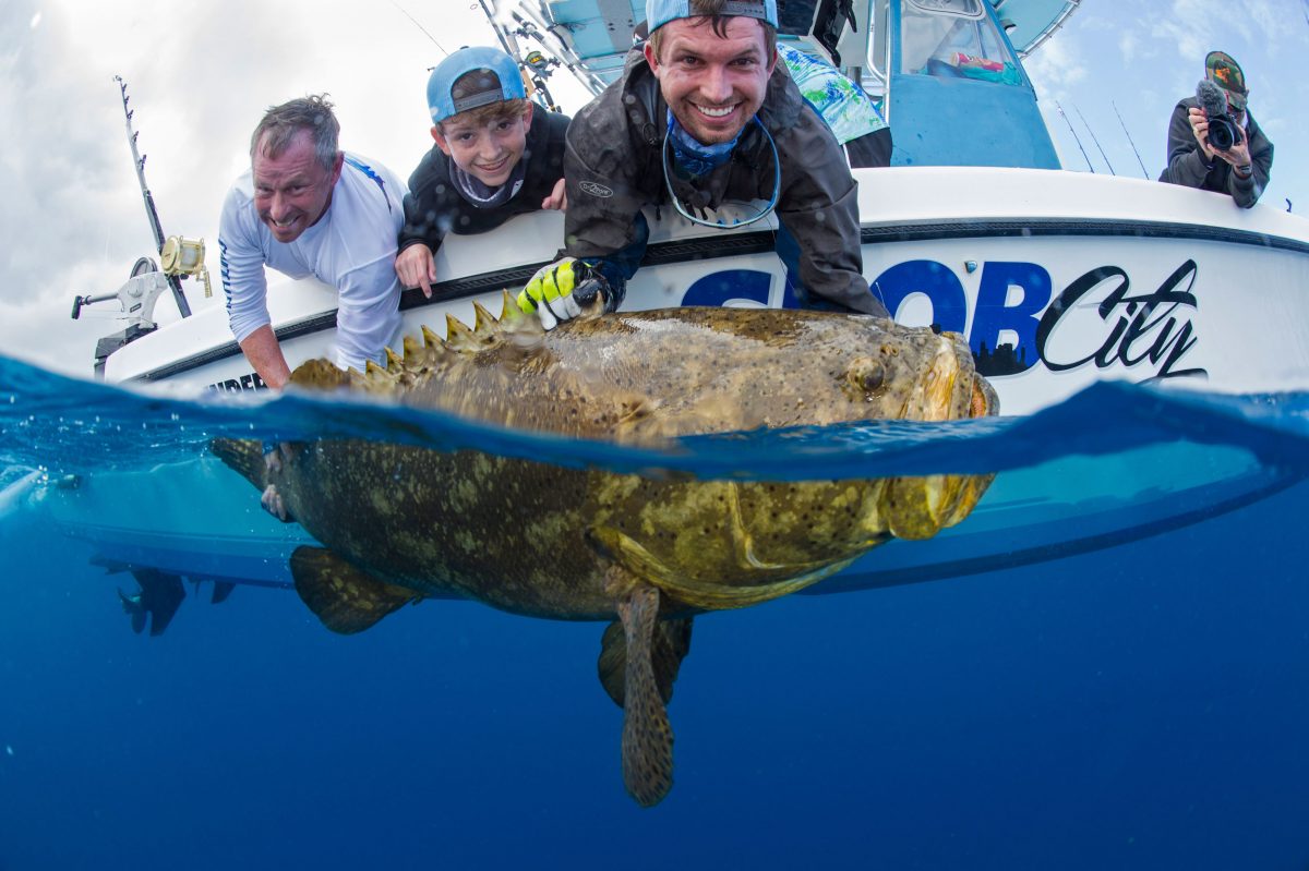 Anglers prepare to release a goliath grouper after catching it off Palm Beach County, Florida.