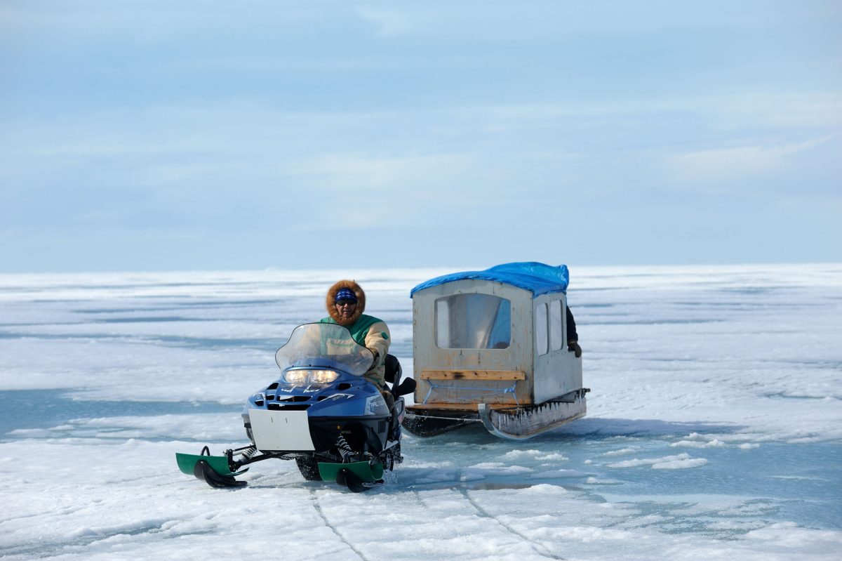 Inuit hunter driving snowmobile with a qamutik (Inuit sledge) on icepack Arctic Bay, Baffin Island, Nunavut, Canada