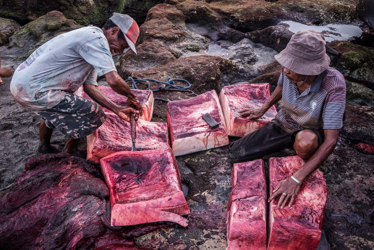 villagers butchering a sperm whale