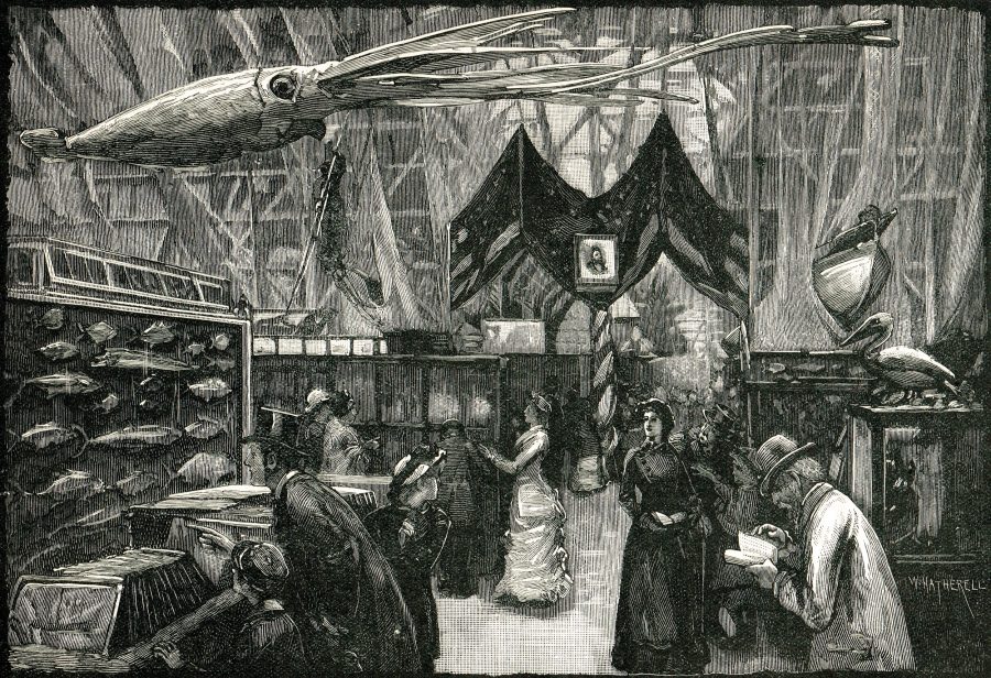 Illustration of the International Fisheries Exhibition of 1883