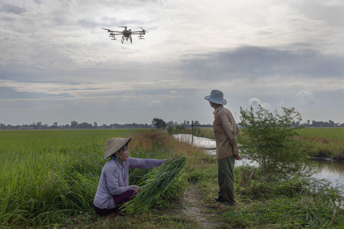 A farmer watches a hovering agricultural drone