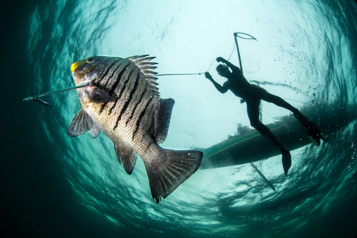 Vezo fisher spearfishing in southwestern Madagascar