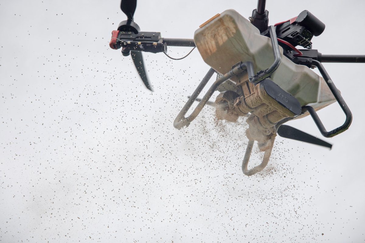 A drone scatters fertilizer as it passes over a rice field. 