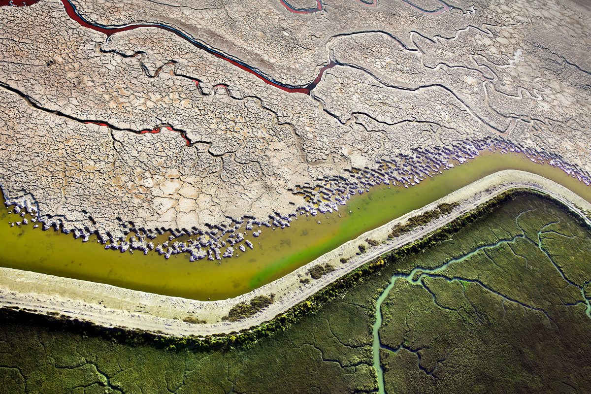 A levee divides a parched salt pond from a burgeoning wetland in the South Bay area of San Francisco, California