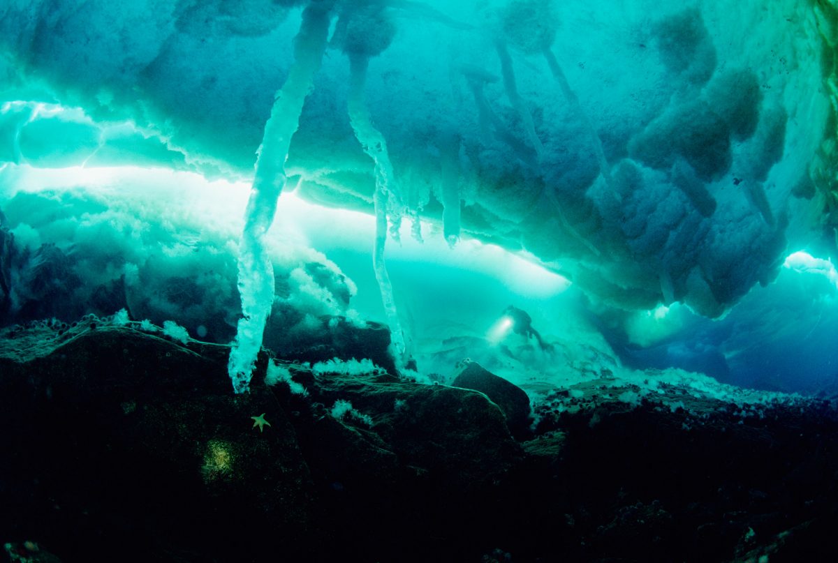 Scuba diver exploring sea ice stalactites or brine channels, Antarctica