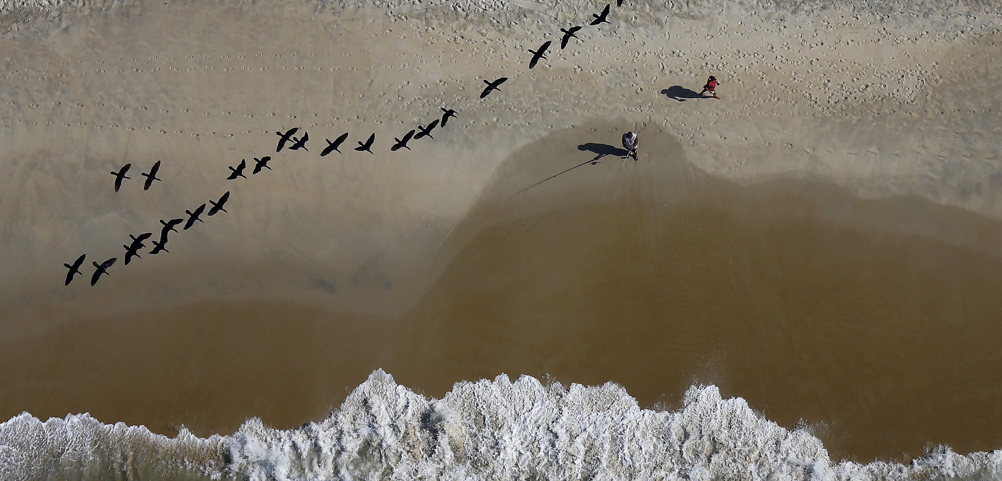 Birds fly overhead as fishers cast from the beach near Rio de Janeiro, Brazil. Photo by Ricardo Moraes/Reuters/Corbis