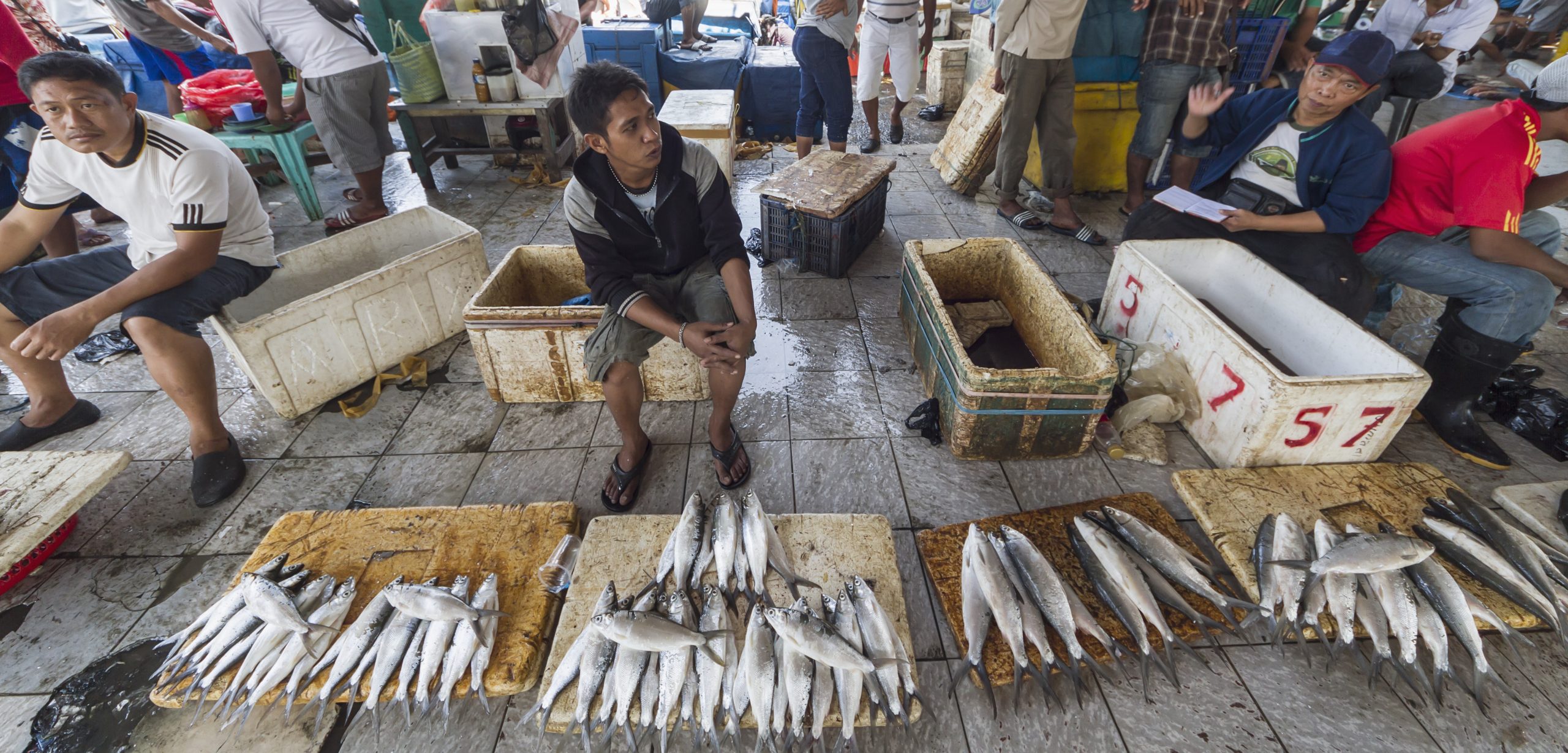 Fish from markets in Indonesia and California had similar levels of debris contamination. Photo by Design Pics/Corbis