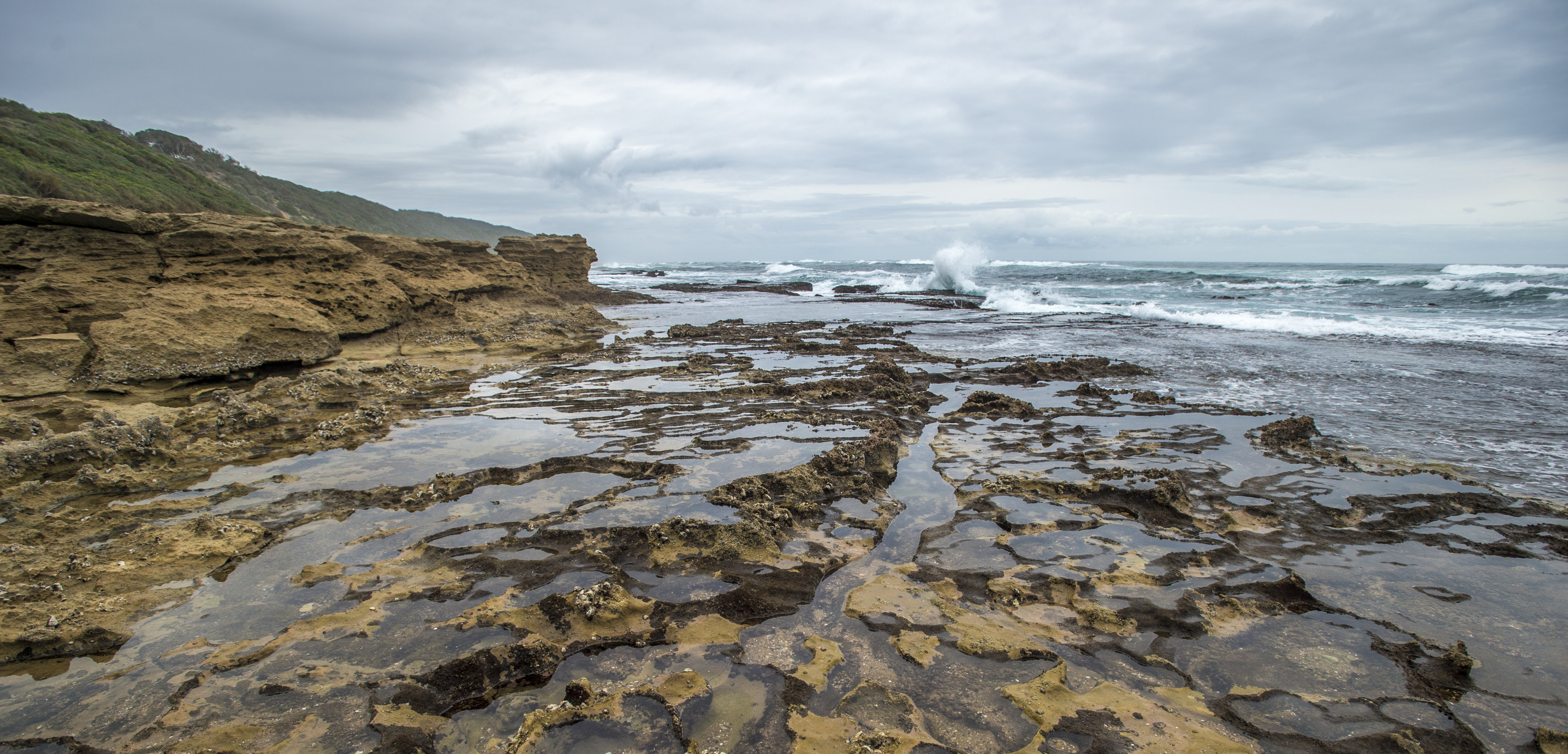 Tide pools, being relatively isolated, are ideal for experimental manipulation. Photo by Edwin Remsberg/Corbis