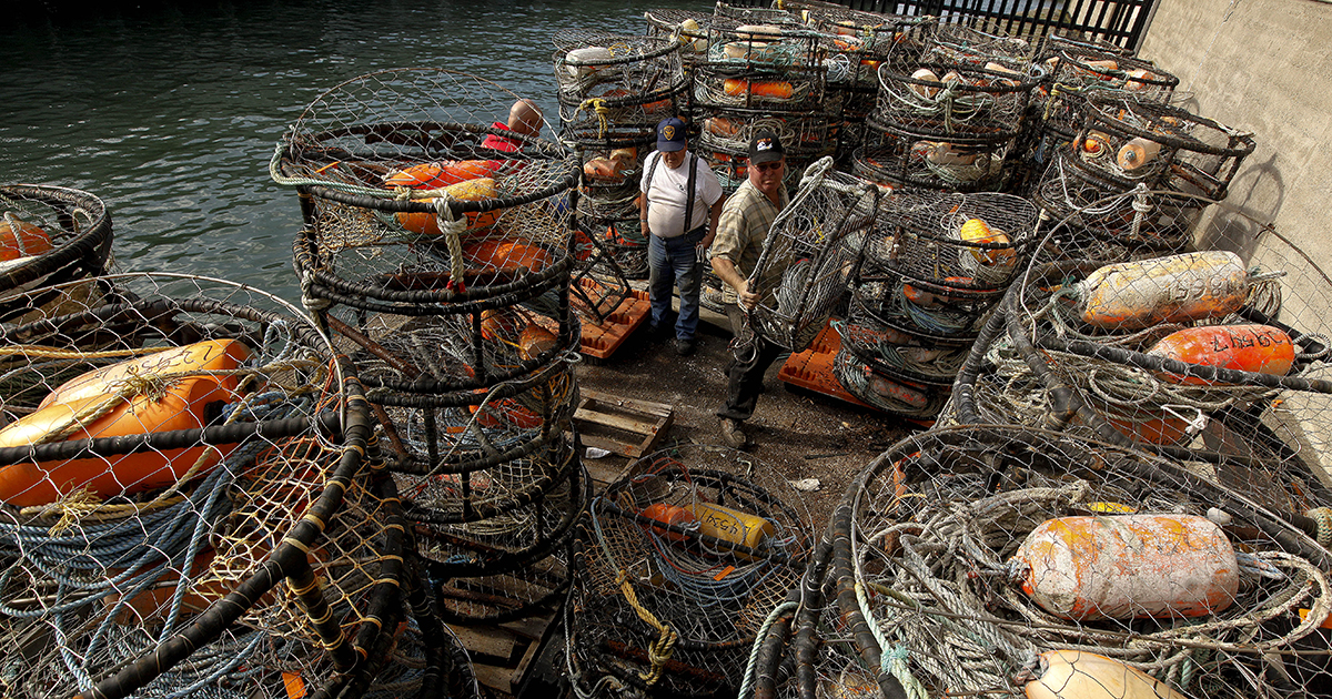 Dungeness Crab Fishing Is Even More Dangerous than Thought