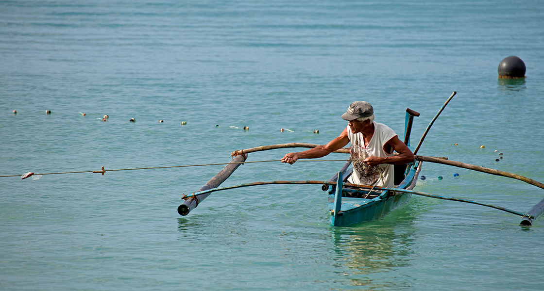 Gone But Not Forgotten: Filipino Fishers Recount the Region's Disappearing  Species