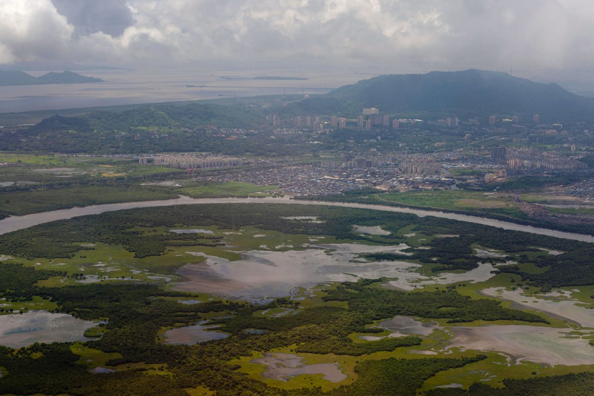aerial photo of Thane Creek and wetlands