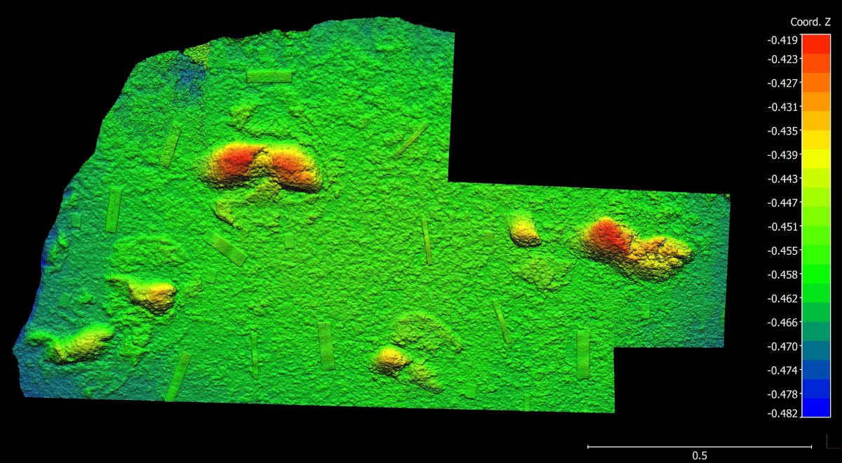 3D photogrammetry of footprint in a cave on the South African coast