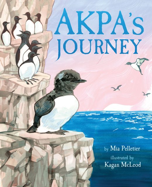 cover of Akpa’s Journey
