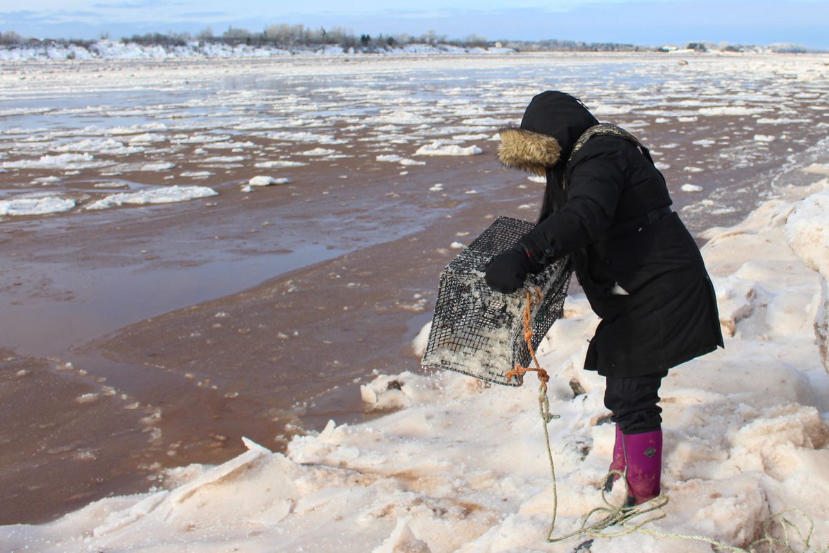Alanna Syliboy, community liaison with the Apoqnmatulti’k project, shakes ice out of a trap before throwing it back in the Shubenacadie River, Nova Scotia
