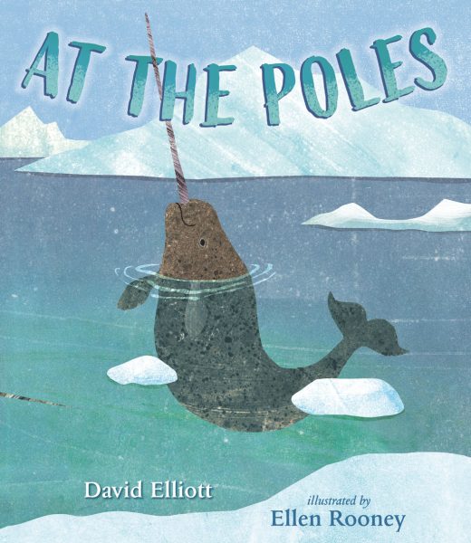 cover image of At The Poles