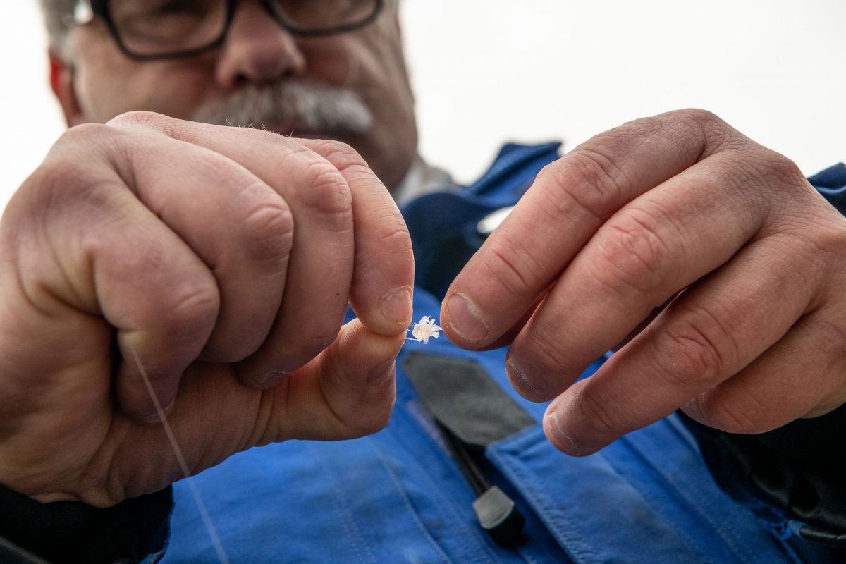 Mark Taylor baits a microfishing hook