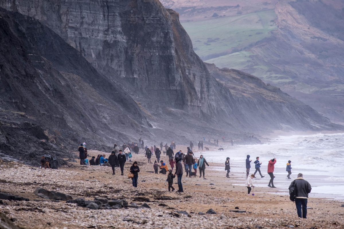 Professional and amateur fossil hunters mingle with tourists on Charmouth Beach, one of the most popular fossil-collecting sites in the United Kingdom.