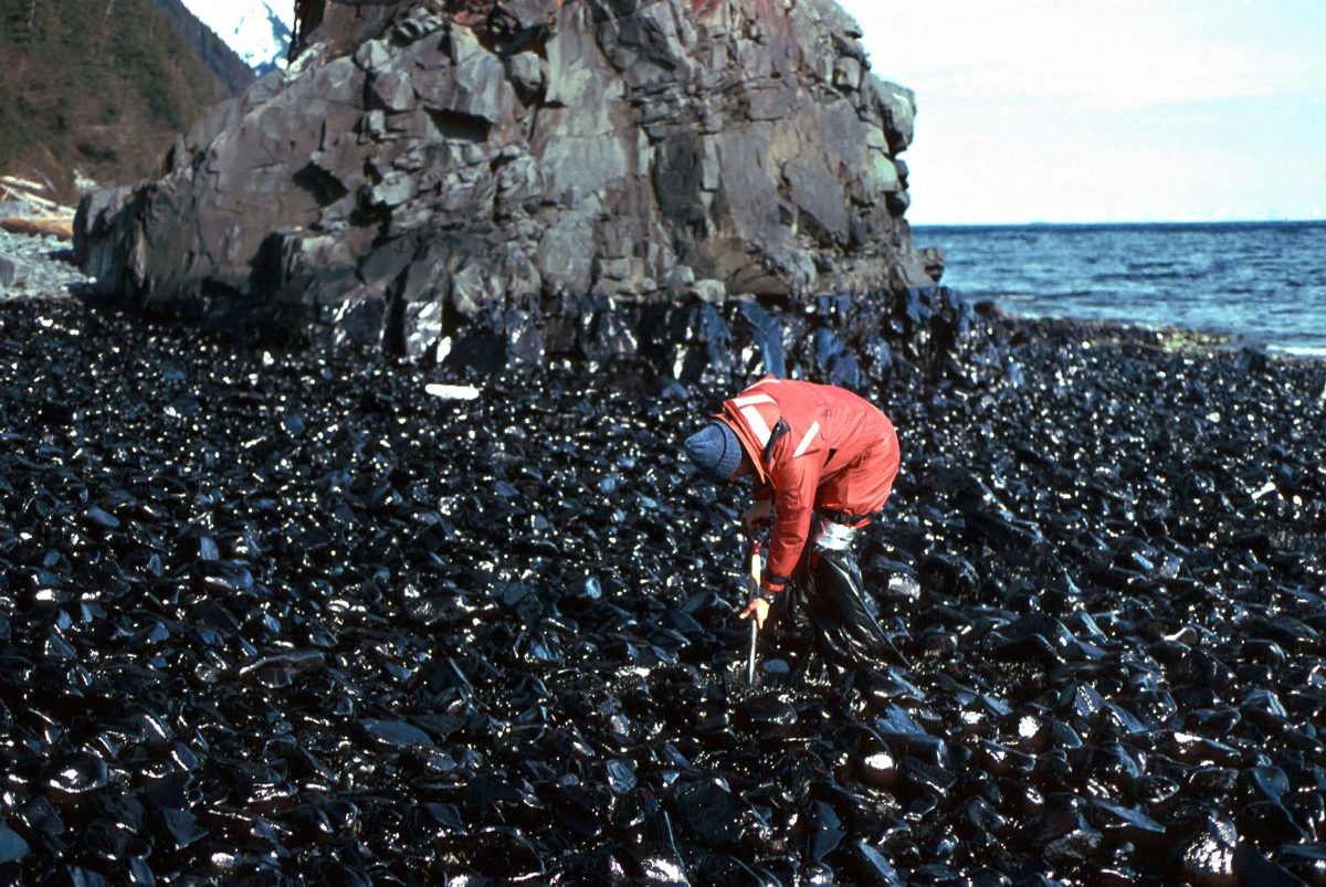 worker cleaning beach after Exxon Valdez oil spill