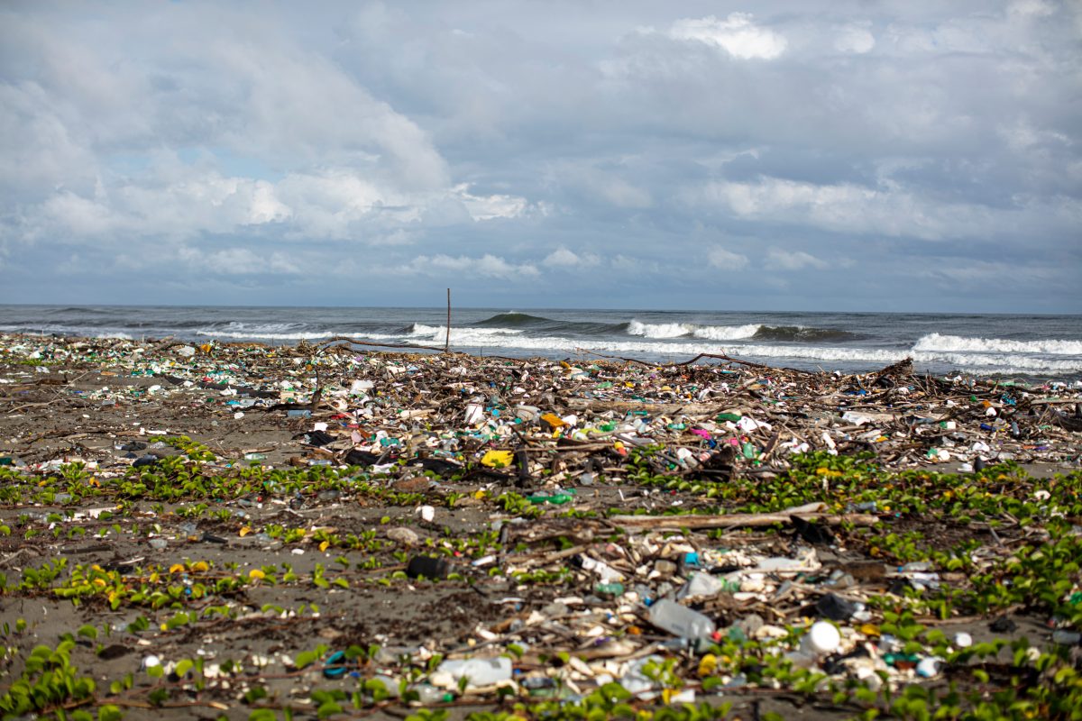 Garbage covered beach in Omua, Honduras