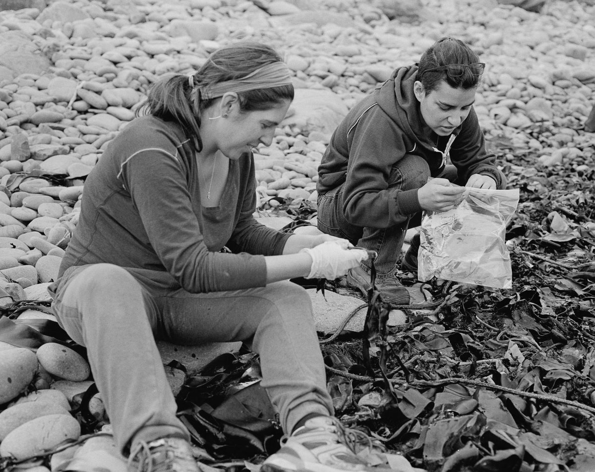 Max Liboiron and France Liboiron collect samples on a beach
