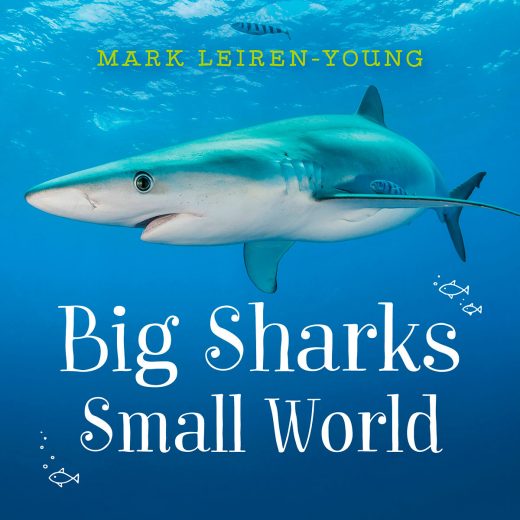 cover of Big Sharks, Small World