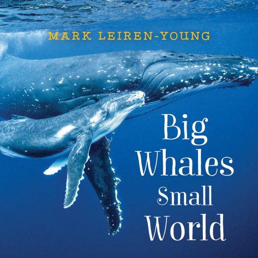 cover of Big Whales, Small World 