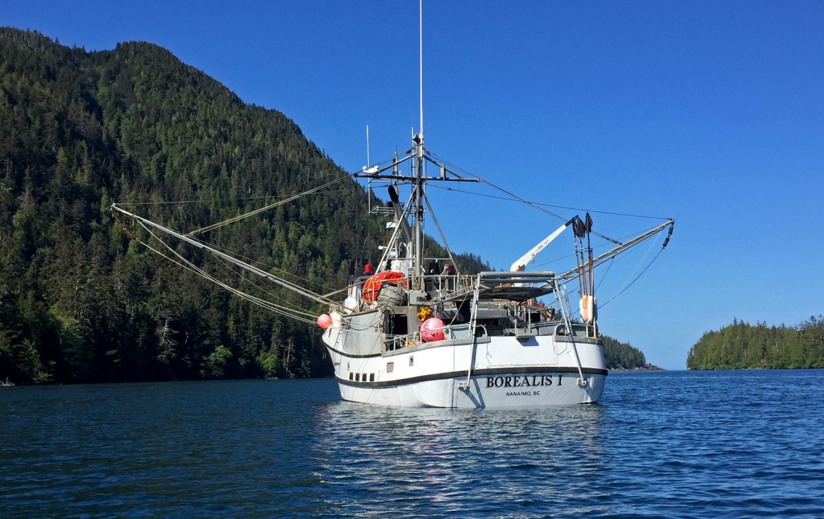 Captained by Dave Boyes, the 17.5-meter Borealis I is used primarily to fish for halibut in the northeast Pacific. Photo by Larry Pynn