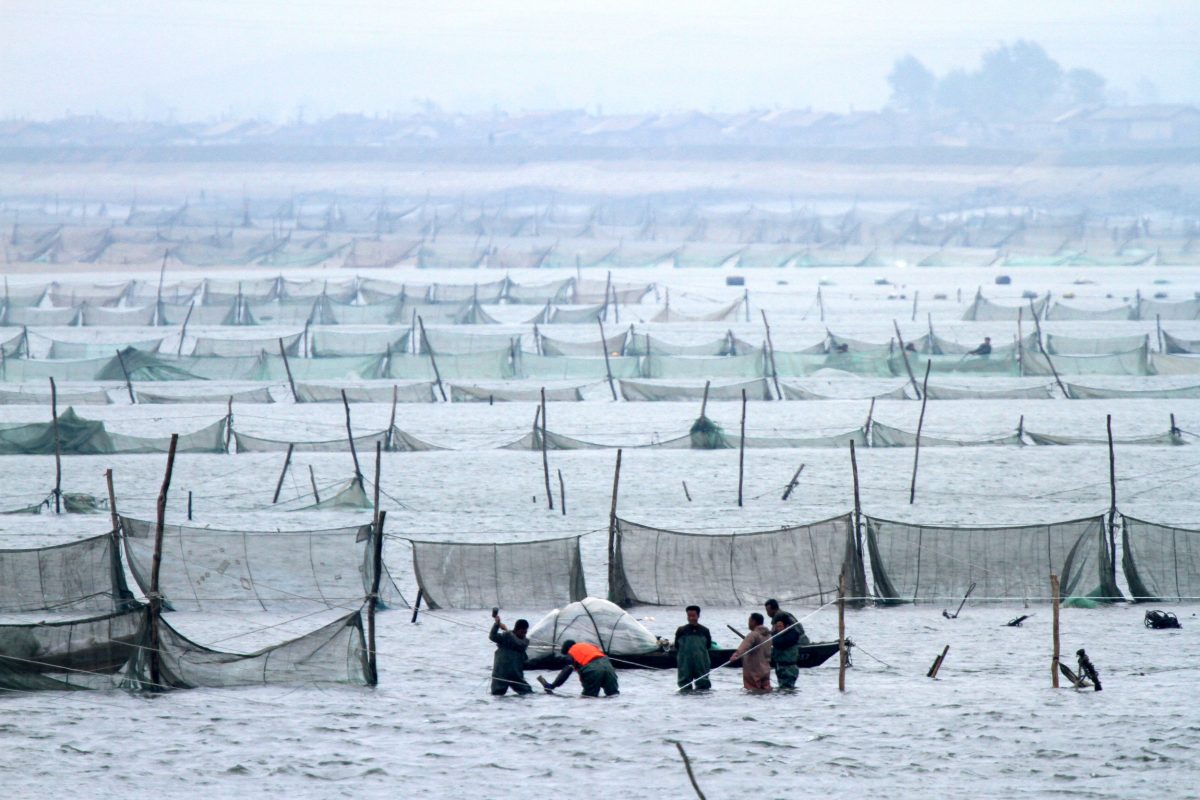 North Koreans fishing near Chinese border