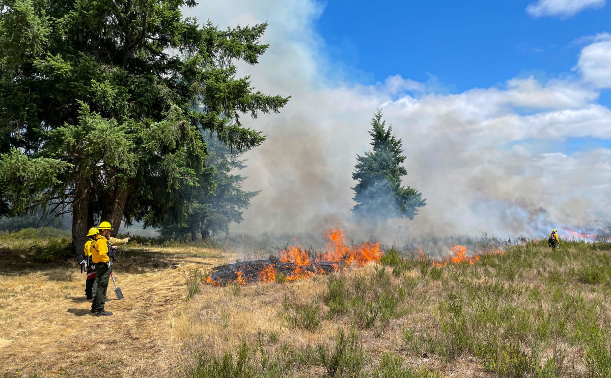 Washington Department of Fish and Wildlife conducting controlled burn