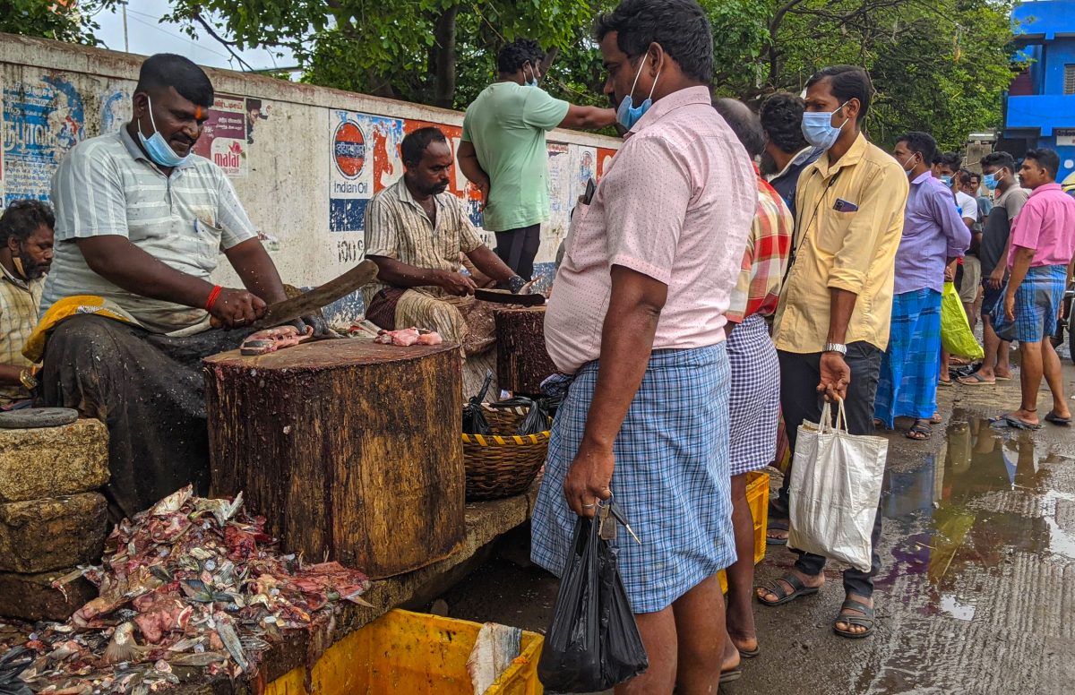 fish butchers, Chennai, India