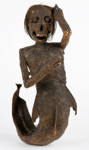 Japanese mermaids were often known as monkey fish. Investigation into the mermaid at the Buxton Museum in Buxton, England, revealed its true makeup—no monkey, just a fish and a lot of craft supplies. The position of her hands suggests she was once holding a comb and a mirror. Photo courtesy of Buxton Museum and Art Gallery, Derbyshire County Council