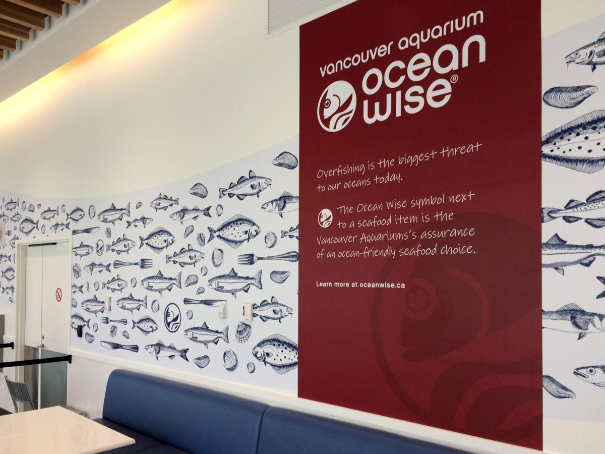 The café at the Vancouver Aquarium is a billboard for the Ocean Wise program. Can you spot the logo among the fish and forks? Photo by Raina Delisle