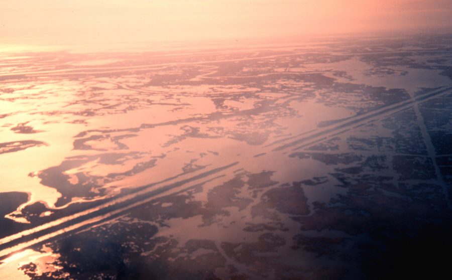aerial photo showing man-made canals in Louisiana marsh