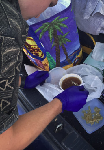 In a makeshift, mobile lab in the back of a car, Austin Ayer extracts filaments of what he suspects are shark fin tendons from soup. Photo by Kenneth R. Weiss