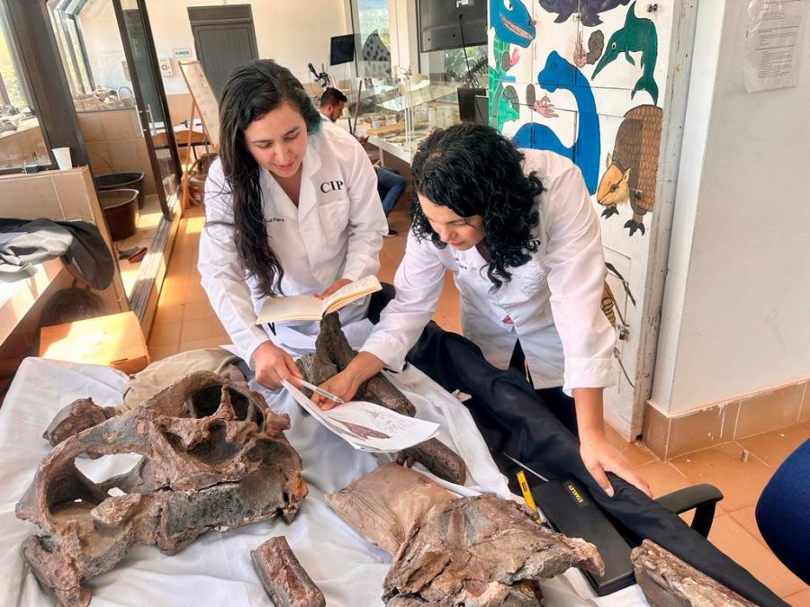 Dirley Córtes, left, and Mary Luz Parra Ruge examine fossils at the Paleontological Research Center.