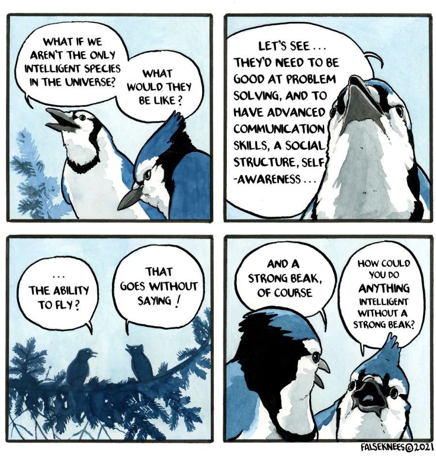 comic of two birds discussing intelligence