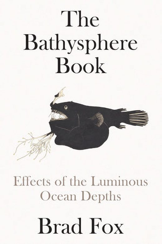 cover of The Bathyphere Book by Brad Fox