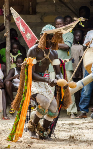 With a sawfish mask on his head, a dancer performs in a ceremony in the Bijagós archipelago in Guinea-Bissau. In many traditional cultures along the West African coast, sawfish are symbols of courage and strength. Photo by Simon Wearne