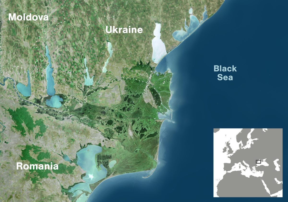 satellite photo showing Danube Delta