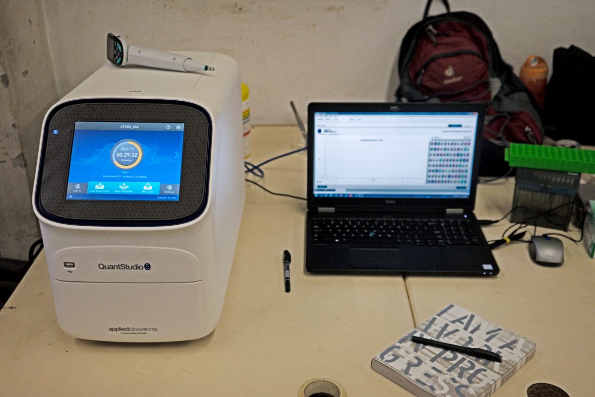 dna testing device