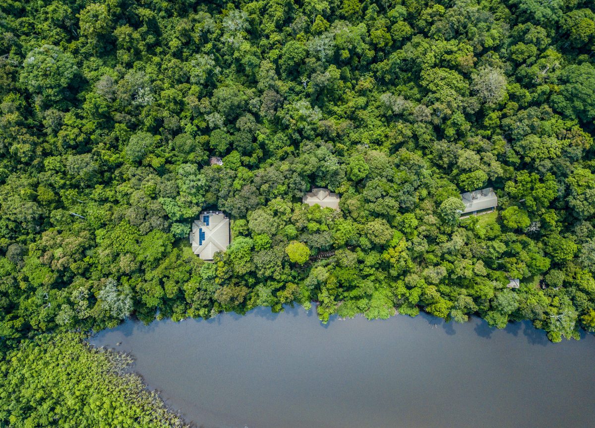 Aerial photo of the Danau Girang Field Centre 