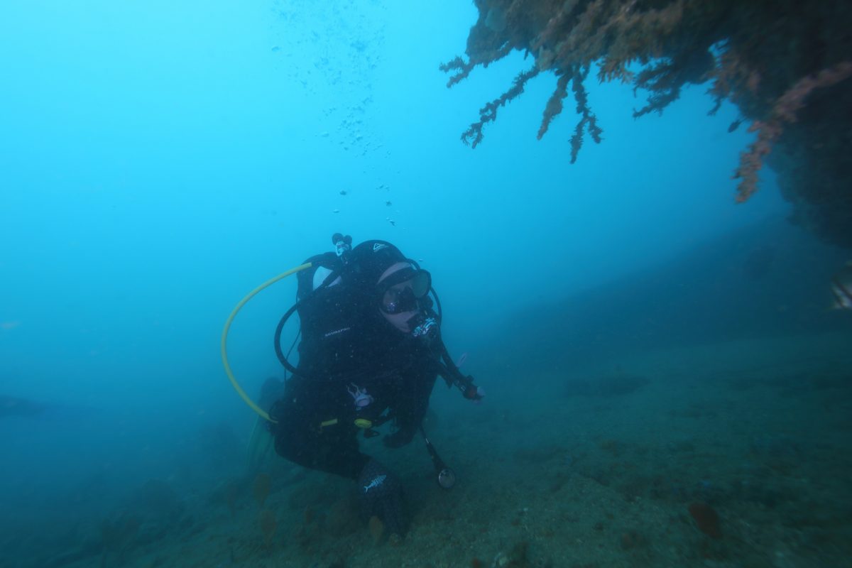 diver performing archaeological survey