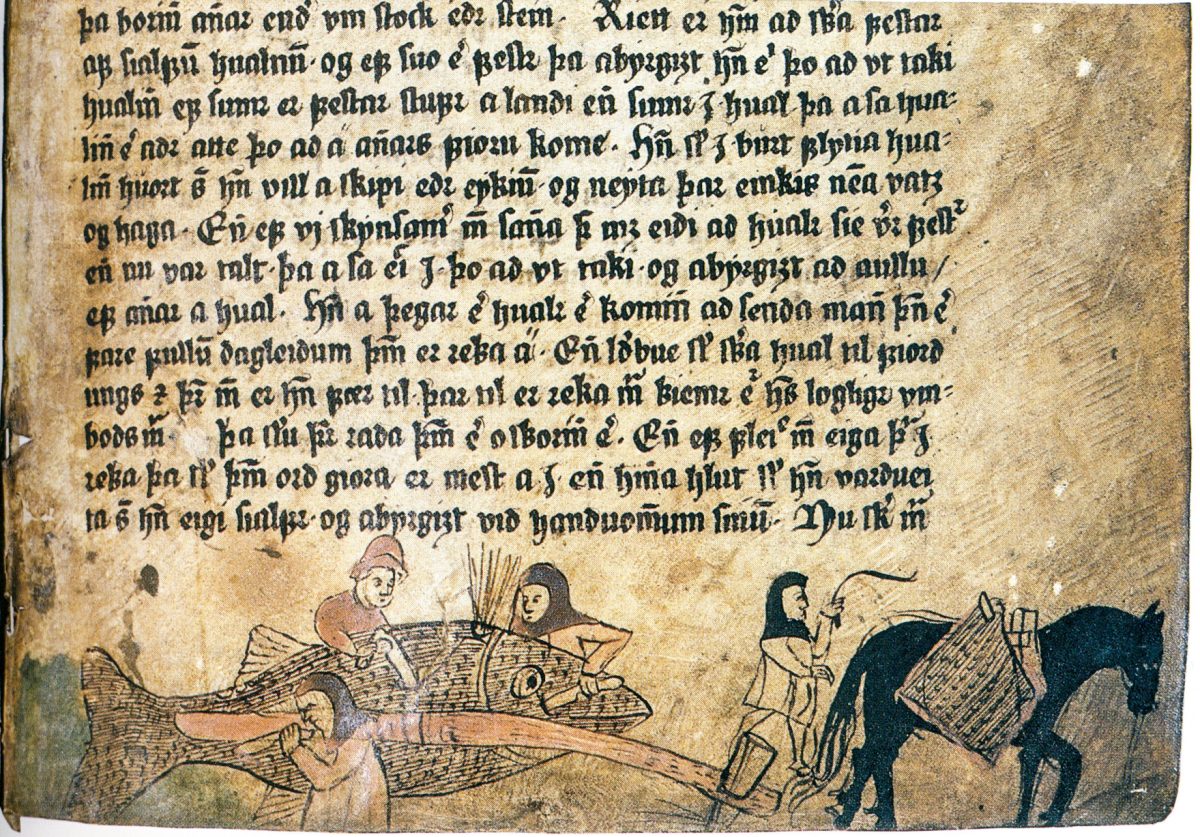 16th-century Iceland manuscript, showing people processing a whale