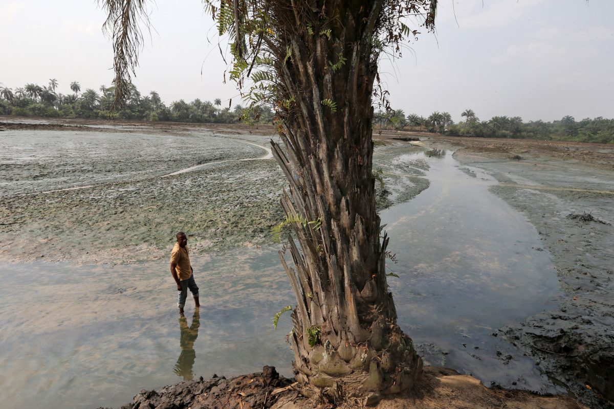 Eric Dooh, a fish farmer, stands in the oil polluted mud of his fish ponds