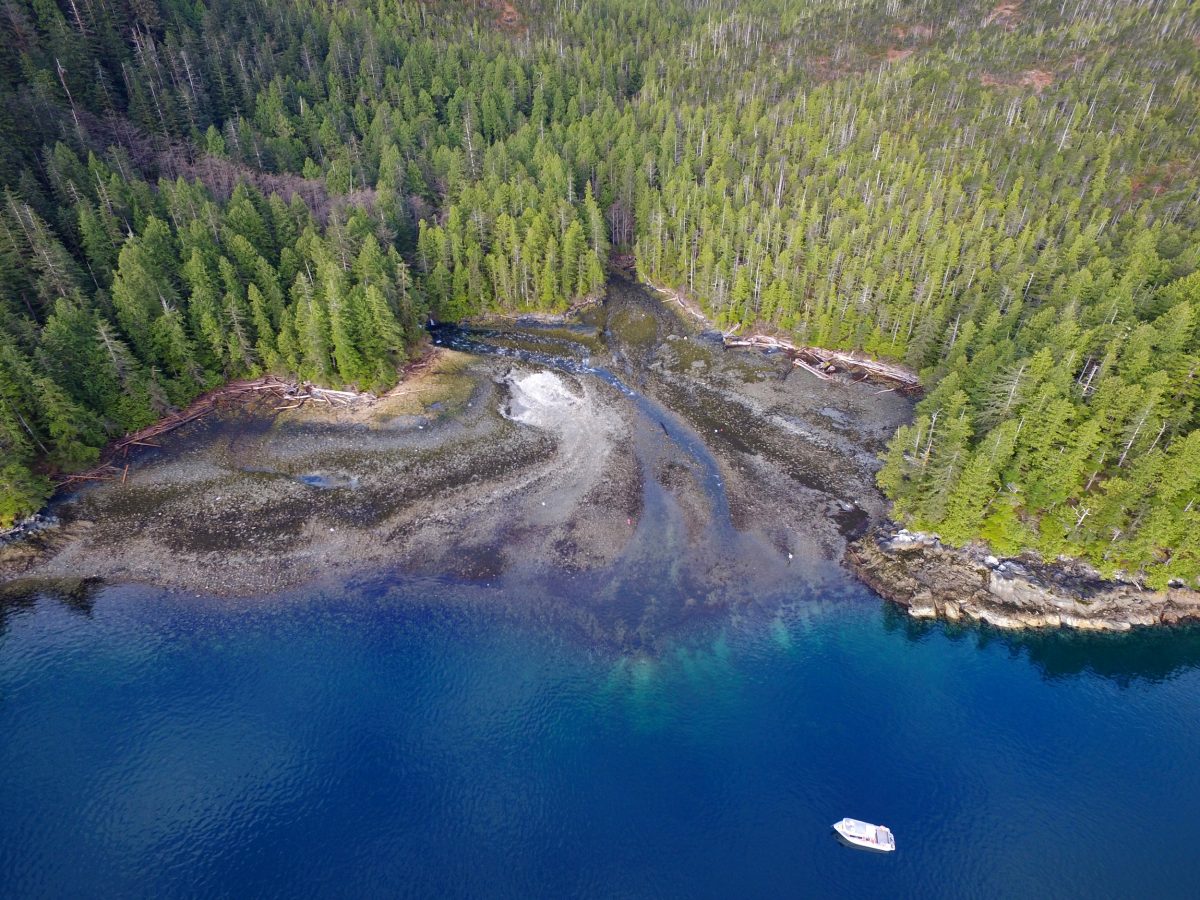 drone photo Grenville Channel, British Columbia