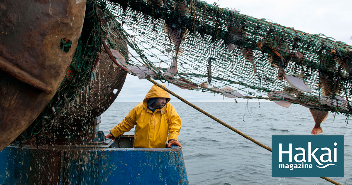 Commercial fishing in South County isn't just an industry. It's a