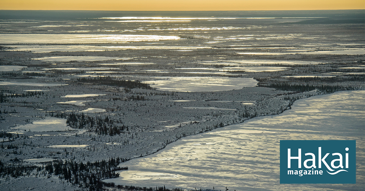 Covering nearly the same area as Norway, the Hudson Bay Lowlands in northern Ontario and Manitoba is home to the southernmost continuous expanse of pe