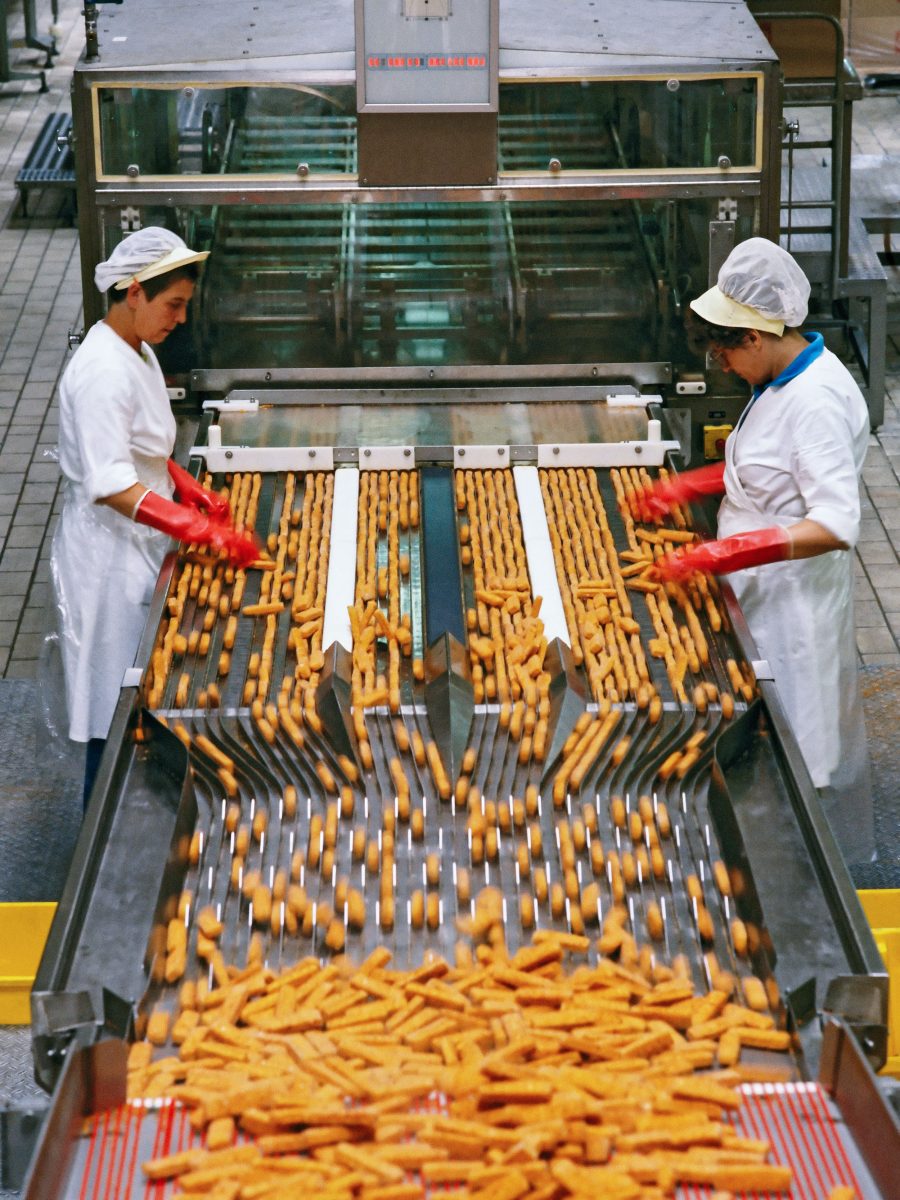 Two women work on a production line making frozen fish fingers