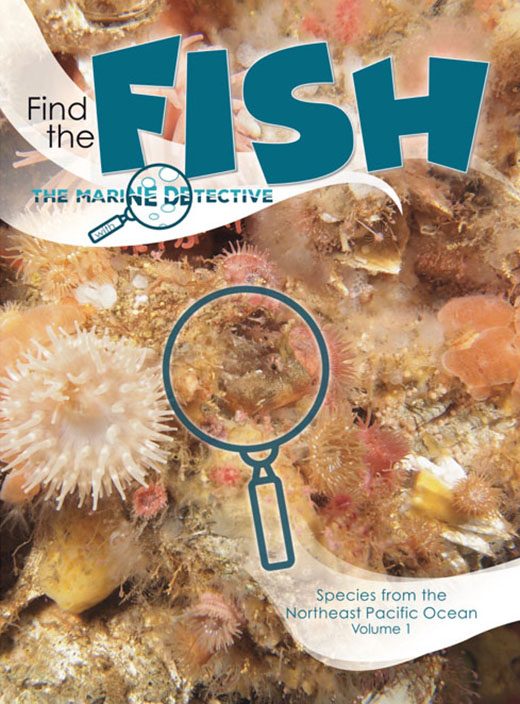 Cover for Find the Fish